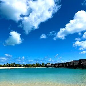 Meet your Posher, Sydney